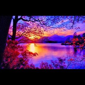 Meet your Posher, Dee